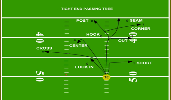 youzy_yam blog: Passing Tree